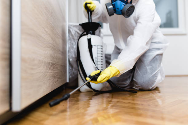 Best Local Pest Control Services  in Clanton, AL