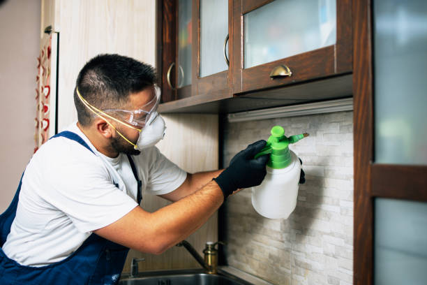 Best Wildlife Control Services  in Clanton, AL
