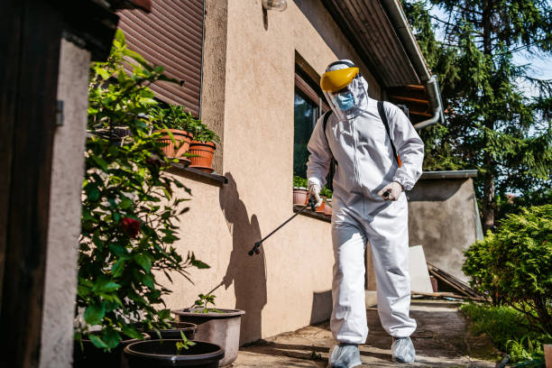 Best Affordable Pest Control Services  in Clanton, AL