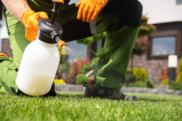Best Local Pest Control Services  in Clanton, AL