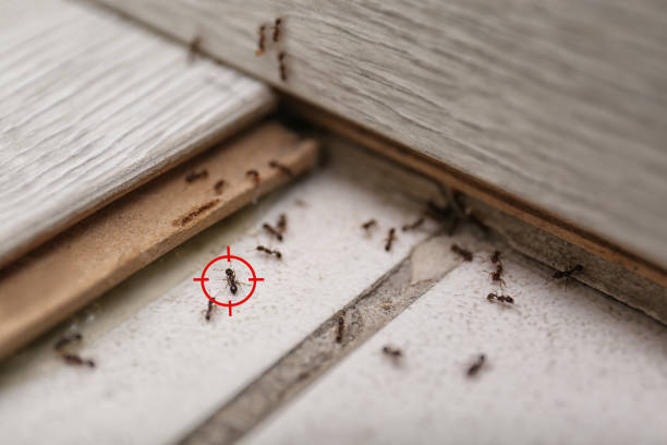 Best Exterminator Services  in Clanton, AL