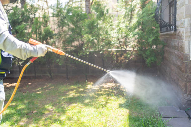 Best Affordable Exterminators  in Clanton, AL