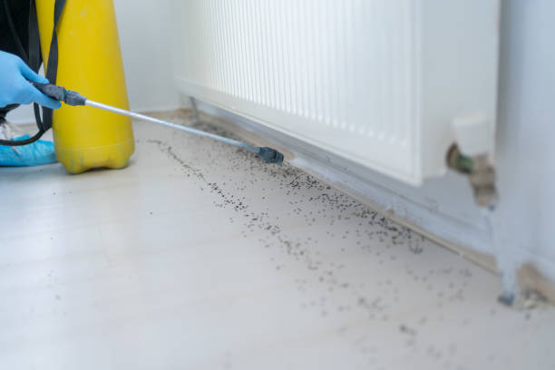 Best Residential Pest Control  in Clanton, AL